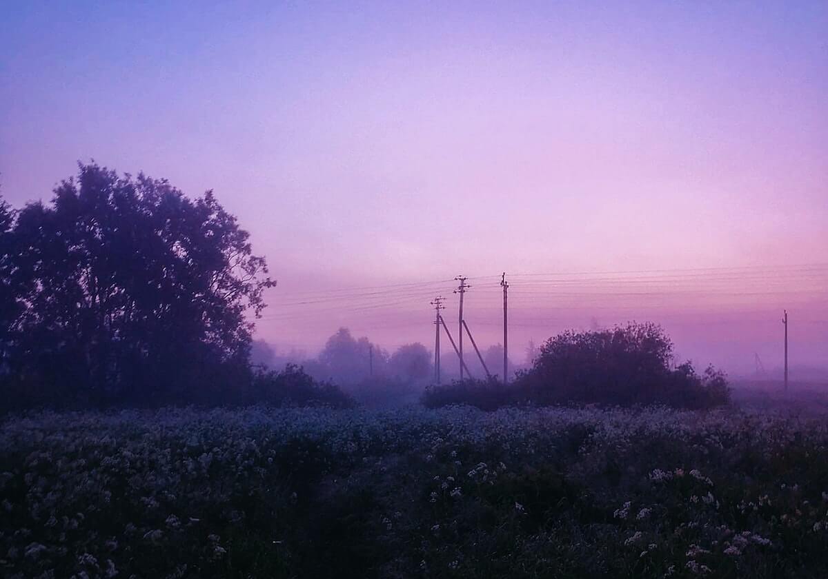 媒体人晒女篮赛场片段:女篮以第四名的成绩结束了本届亚洲杯